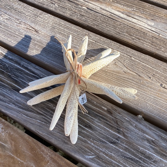 STARFISH set of 3 , GREAT DECOR , looks good ANYWHERE!!🌴🦀🦑 - Picture 4 of 10